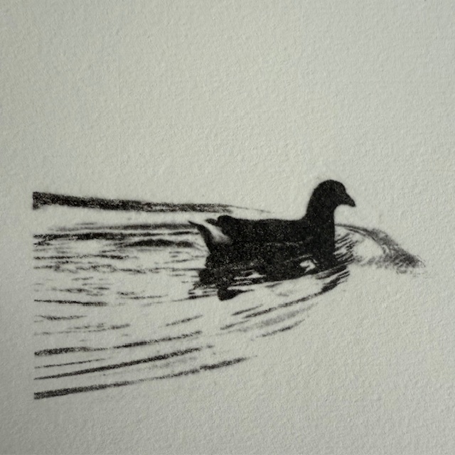 'Calm' by Neil Robinson, Eco Image Transfer print (IPE 2025)